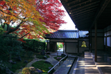 栄摂院