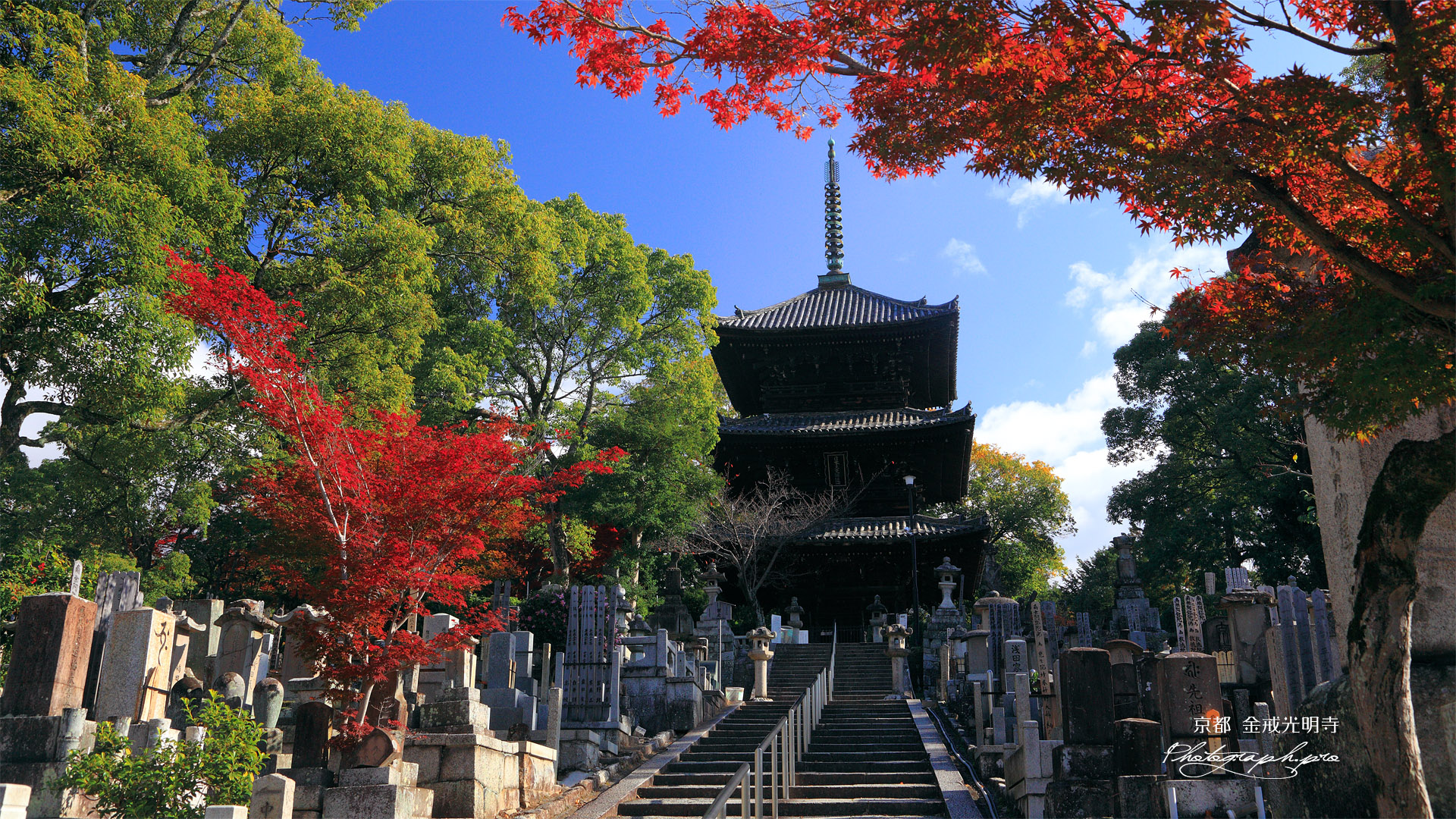 金戒光明寺 紅葉と文殊塔