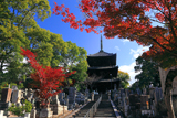 金戒光明寺 紅葉と文殊塔
