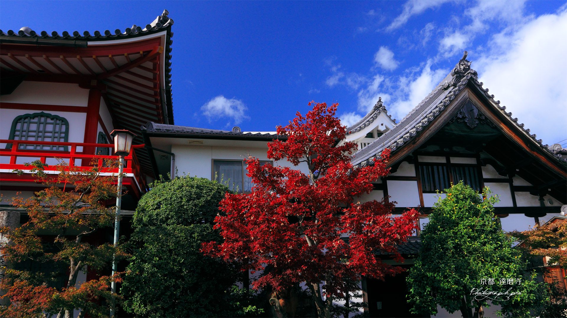 京都達磨寺 紅葉と庫裡