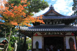 京都達磨寺 紅葉と達磨堂