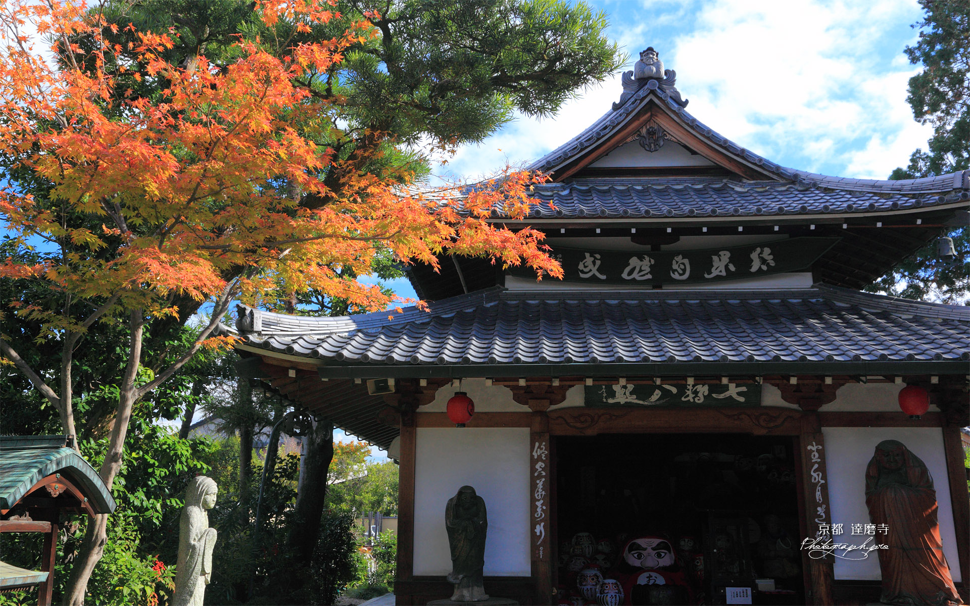 京都達磨寺 紅葉と達磨堂