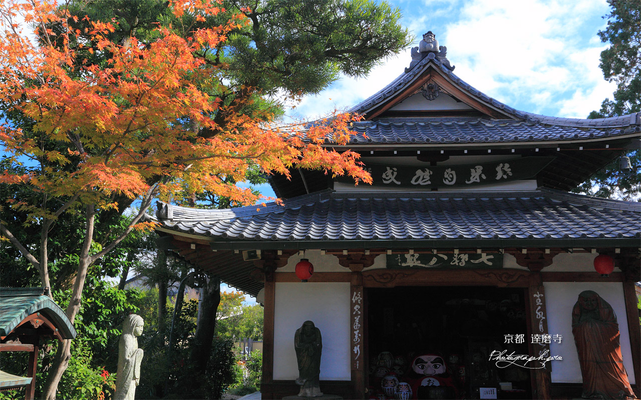 京都達磨寺 紅葉と達磨堂 壁紙