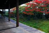 達磨寺