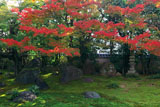 京都達磨寺 無尽庭の紅葉