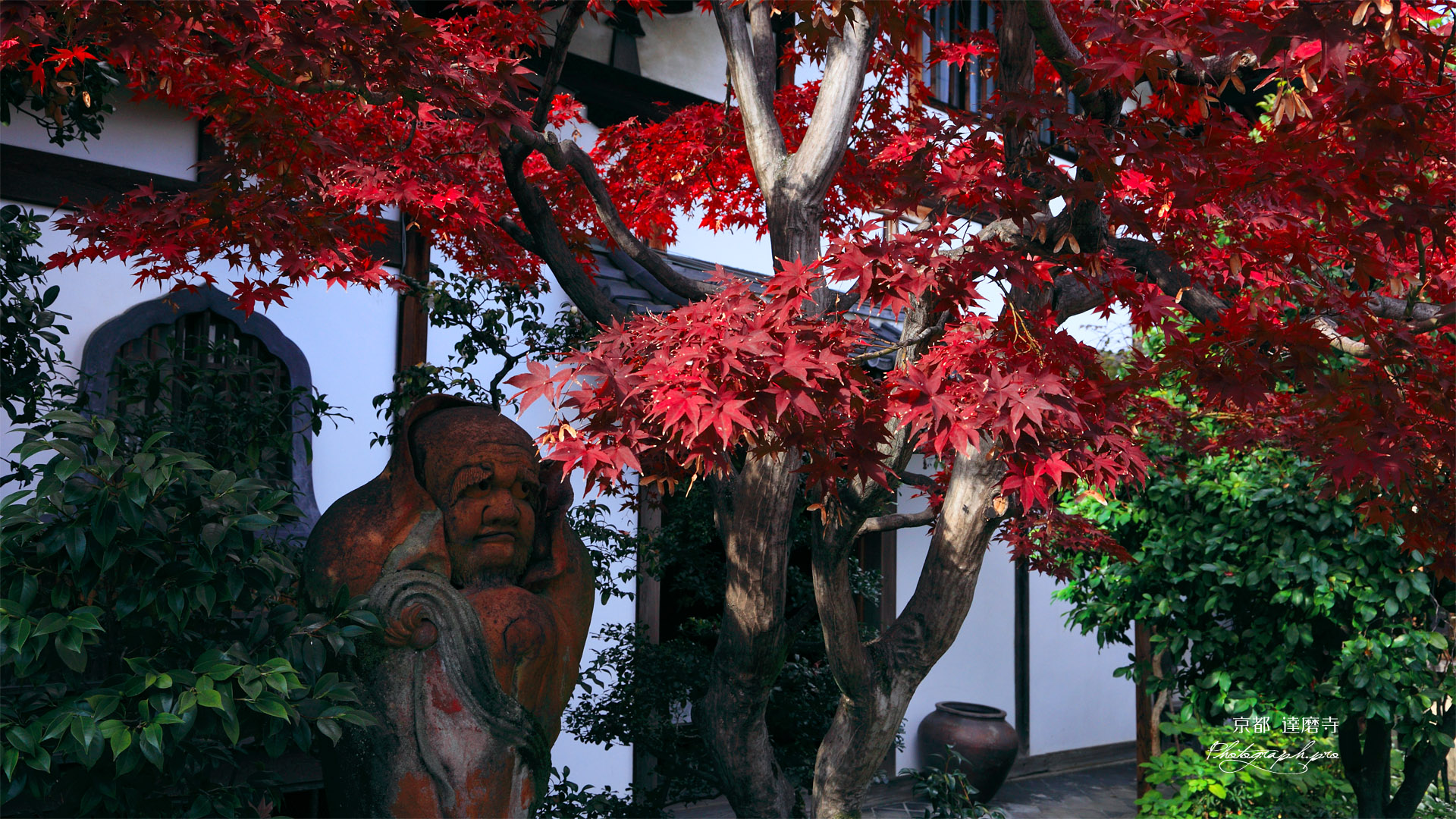 京都達磨寺 紅葉と達磨像