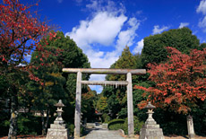 木嶋神社