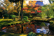 広隆寺