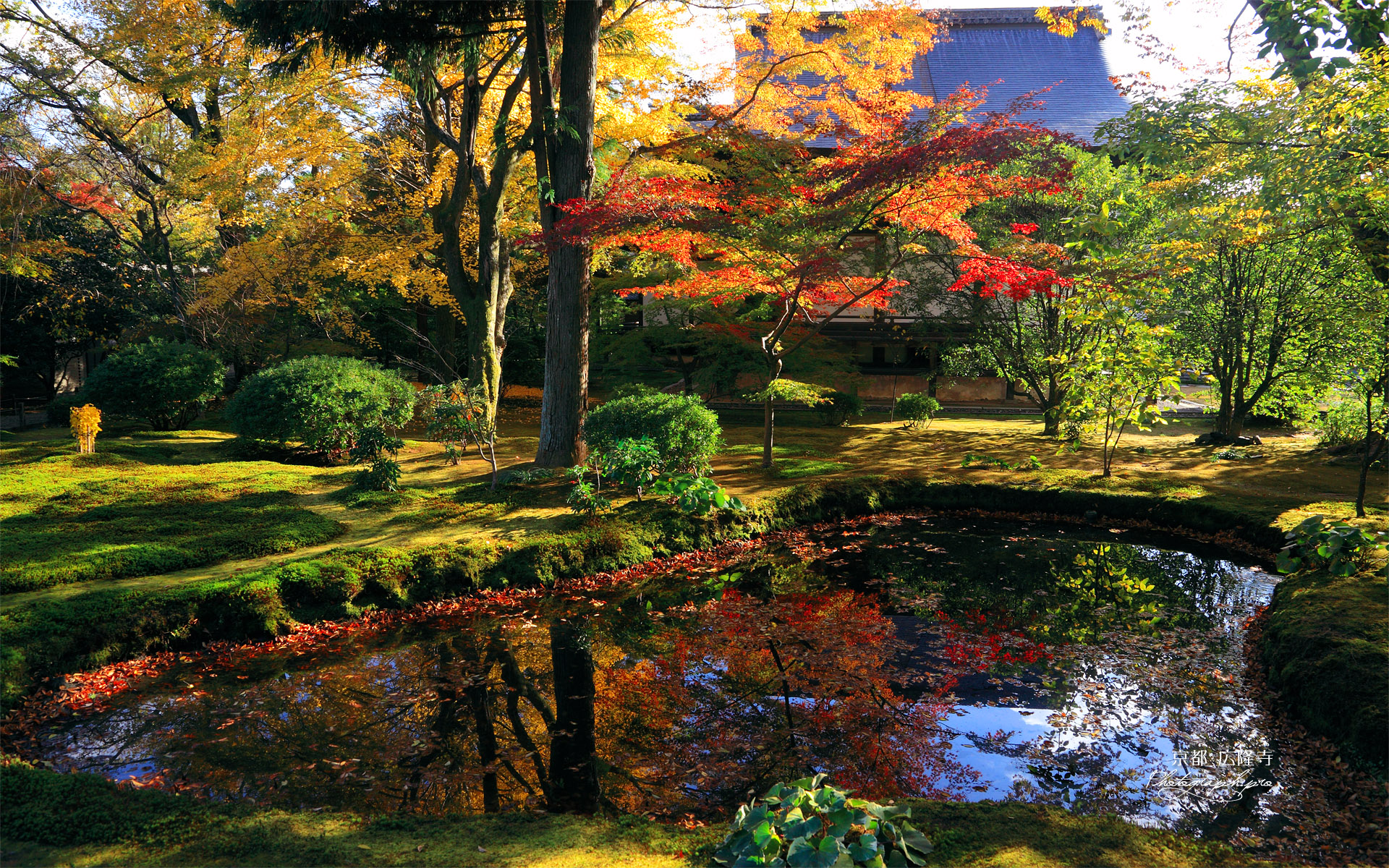 広隆寺 紅葉と上宮王院