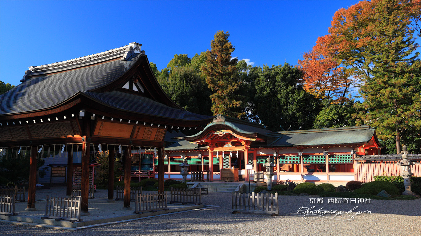西院春日神社 拝殿 壁紙