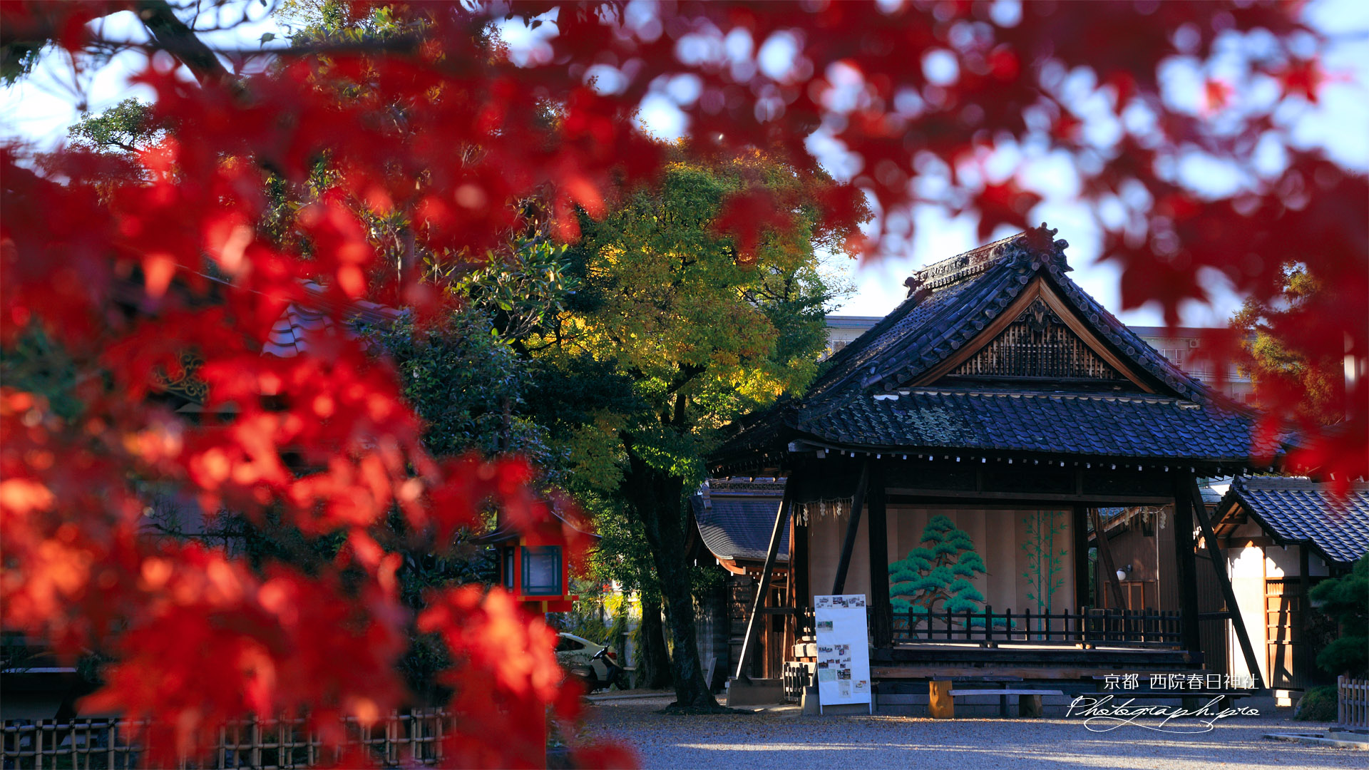 西院春日神社 紅葉越しの能舞台
