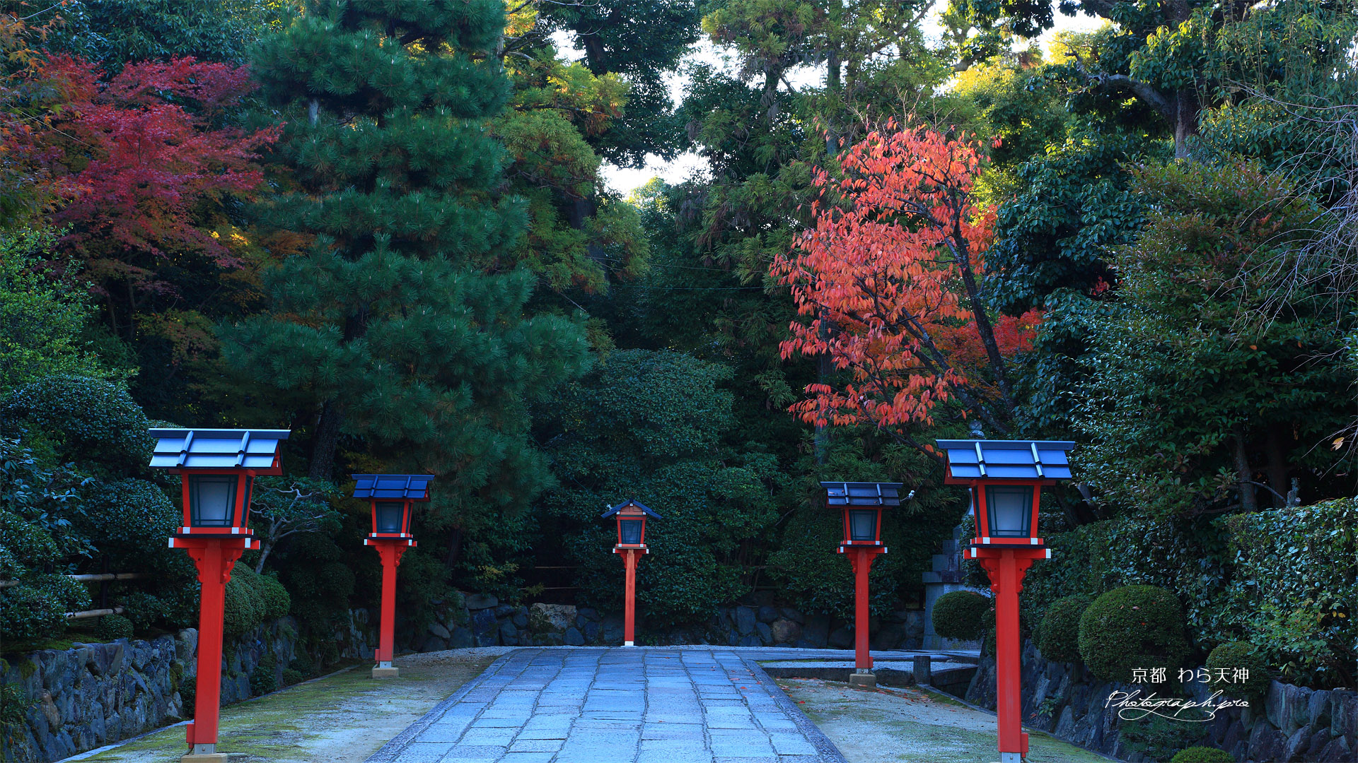 わら天神 参道の桜紅葉