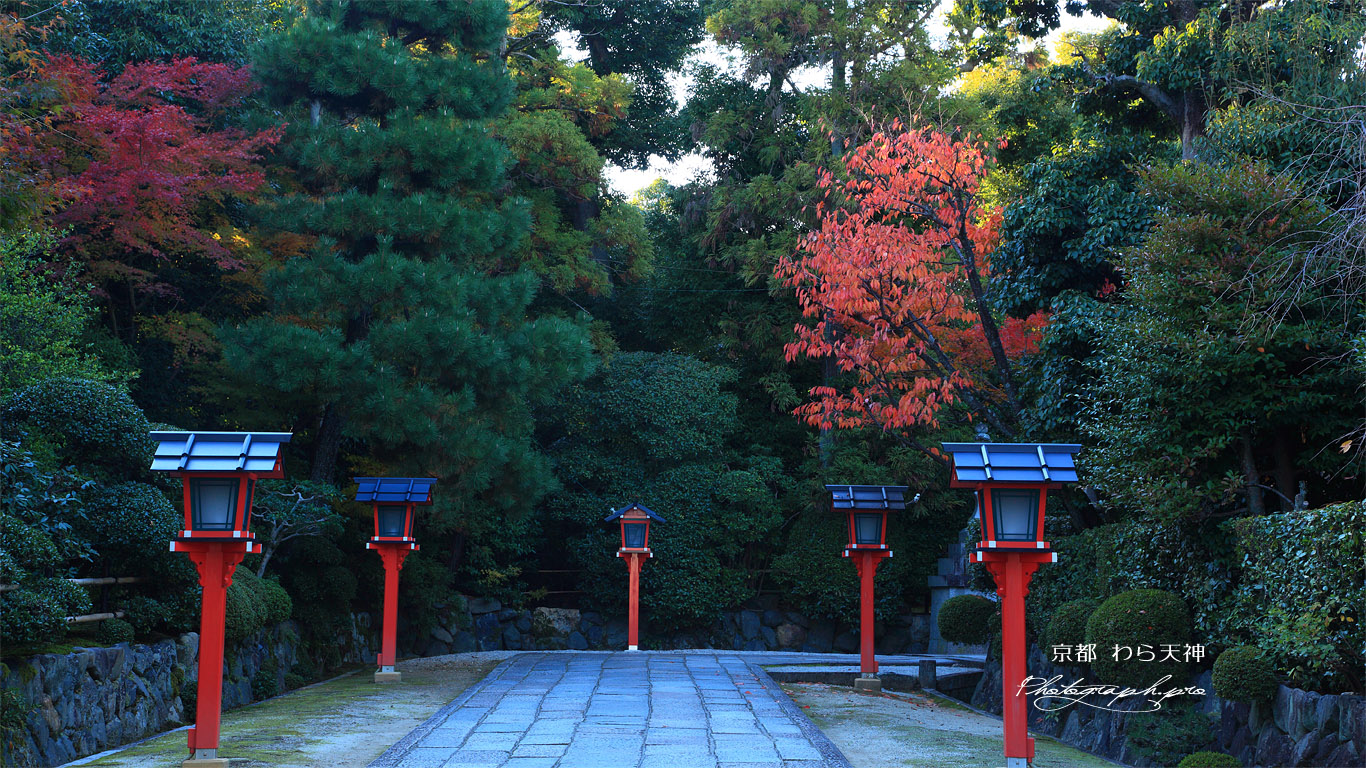 わら天神 参道の桜紅葉 壁紙