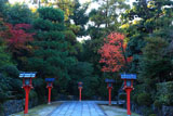 わら天神 参道の桜紅葉