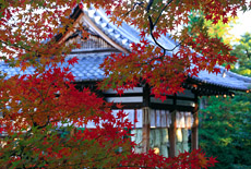 わら天神