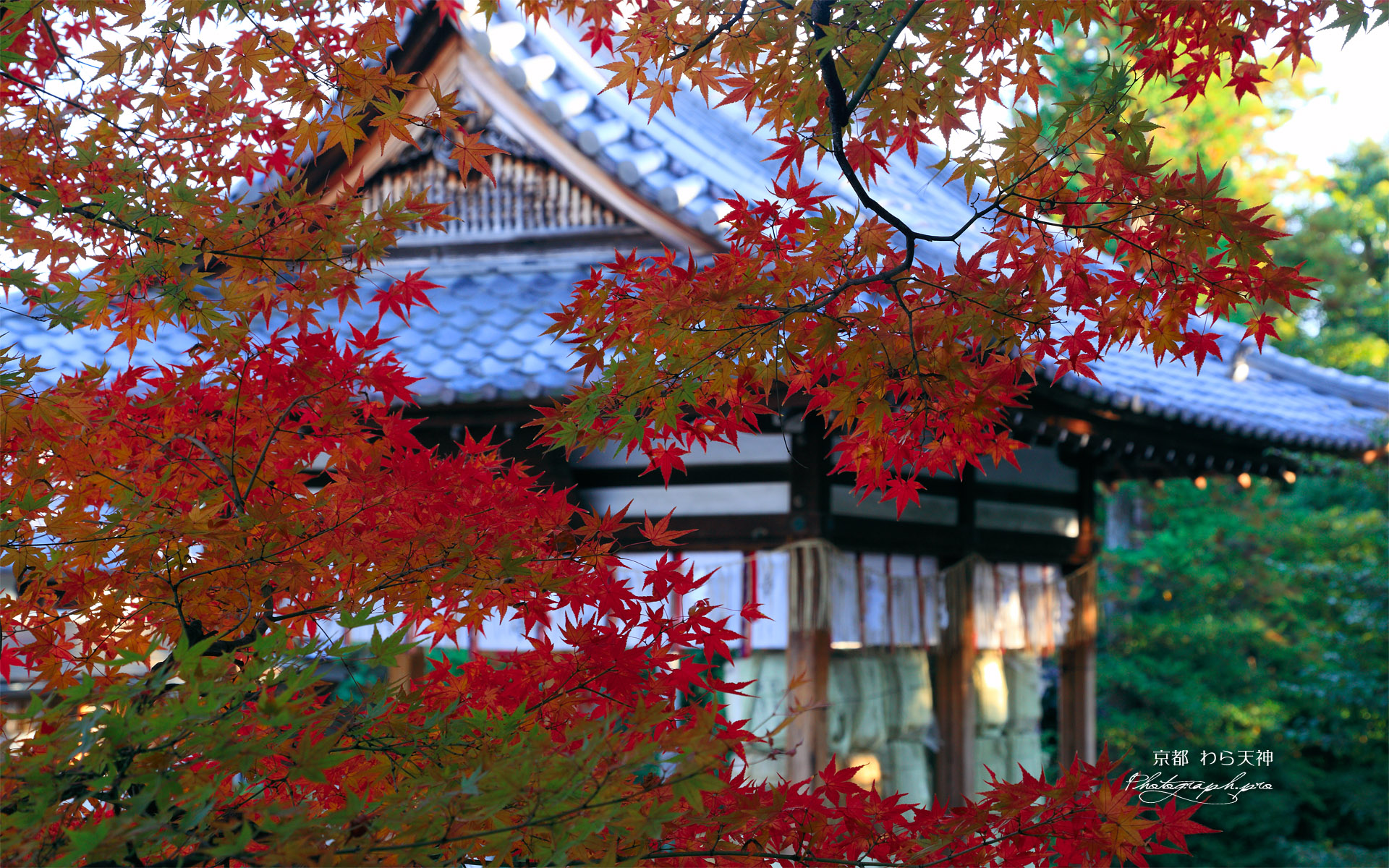 わら天神 紅葉越しの船岡妙見社