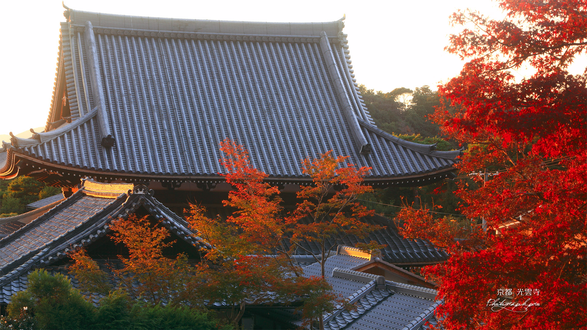哲学の道 紅葉と光雲寺