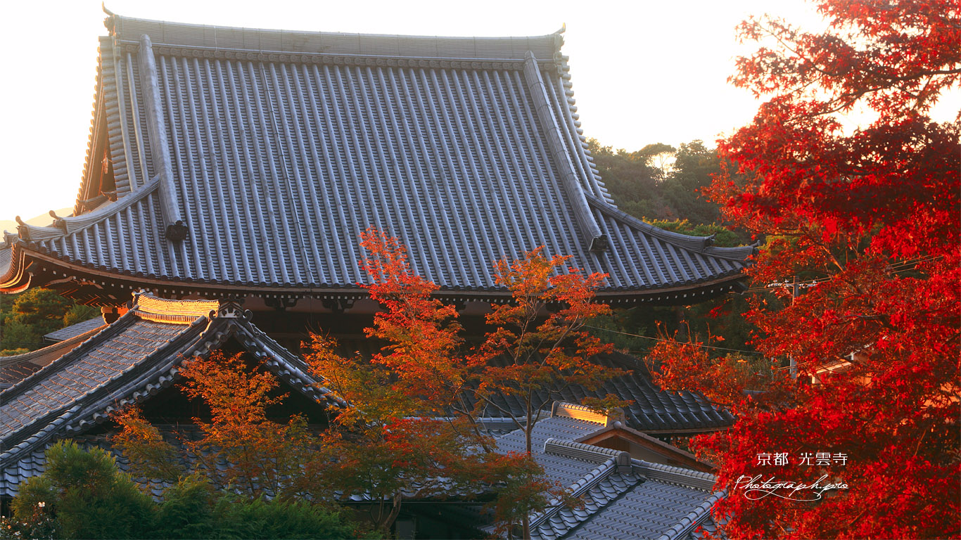 哲学の道 紅葉と光雲寺 壁紙