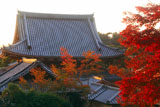 光雲寺 哲学の道から紅葉と仏殿