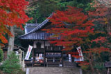 京都平岡八幡宮 紅葉と拝殿