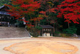 京都平岡八幡宮 三役相撲土俵と紅葉