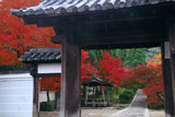 一休寺 総門越しの紅葉