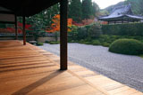 一休寺 紅葉の方丈庭園