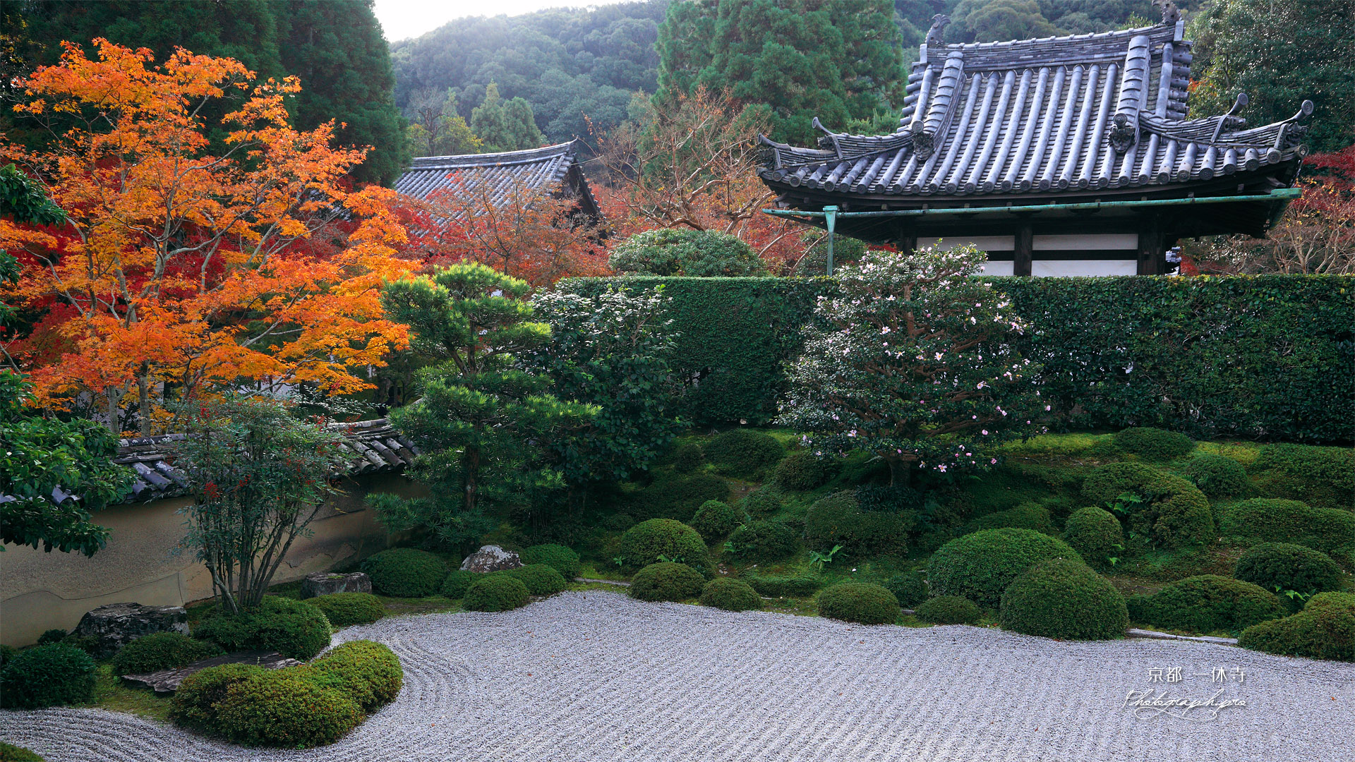 一休寺 紅葉と南庭