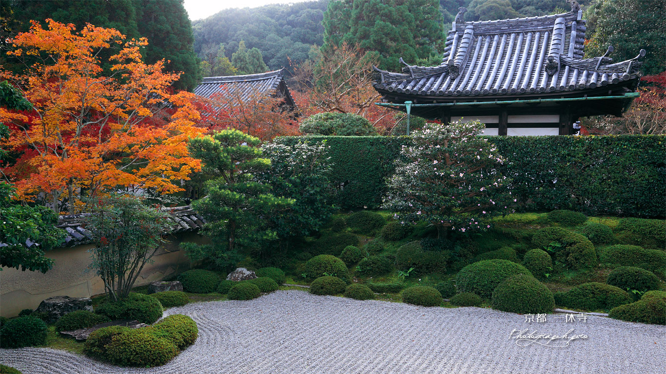 一休寺 紅葉と南庭 壁紙