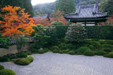 一休寺 紅葉と南庭