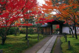 一休寺 参道の紅葉