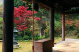 神童寺 本堂からの紅葉