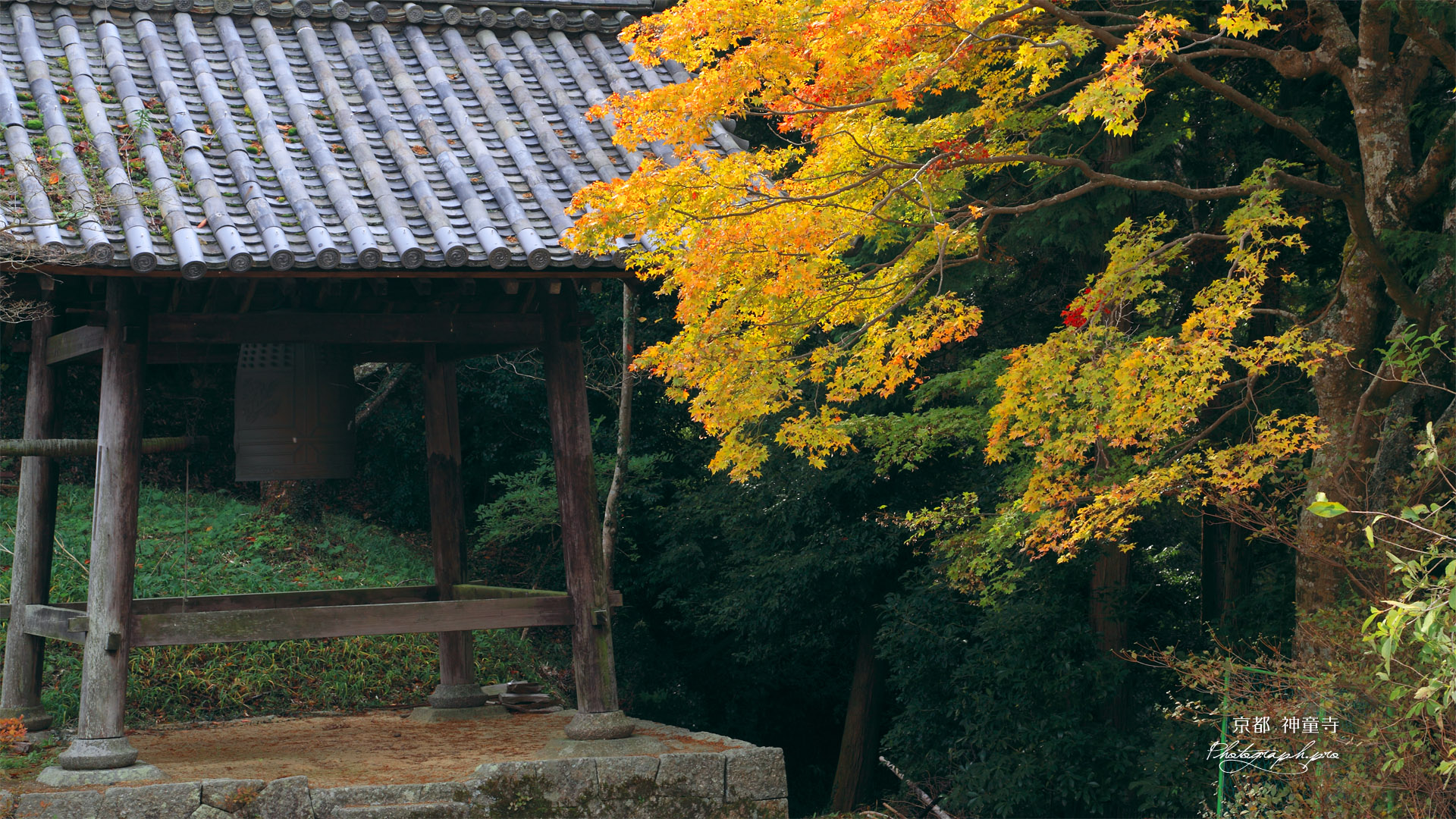神童寺 鐘楼と紅葉