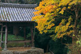 神童寺 鐘楼と紅葉