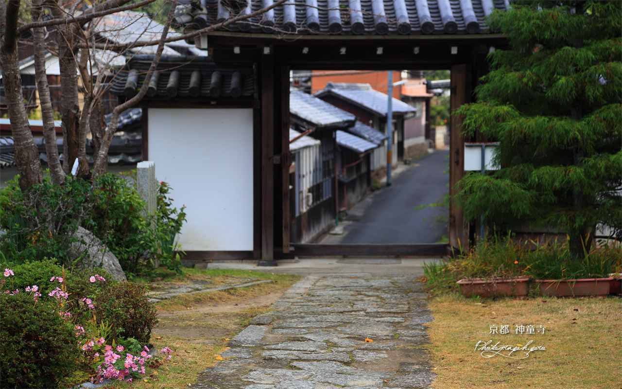 神童寺 山門越しの伊賀街道 壁紙