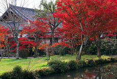 観音寺