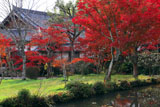 観音寺