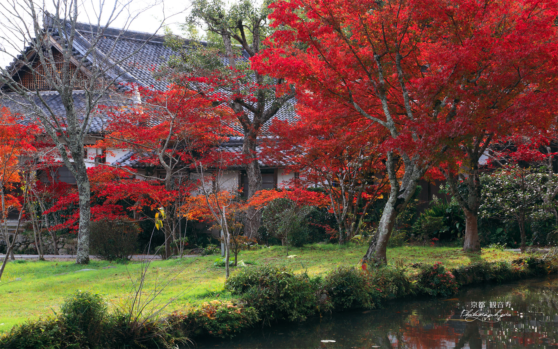 京都観音寺 紅葉と庫裏