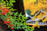 安養寺
