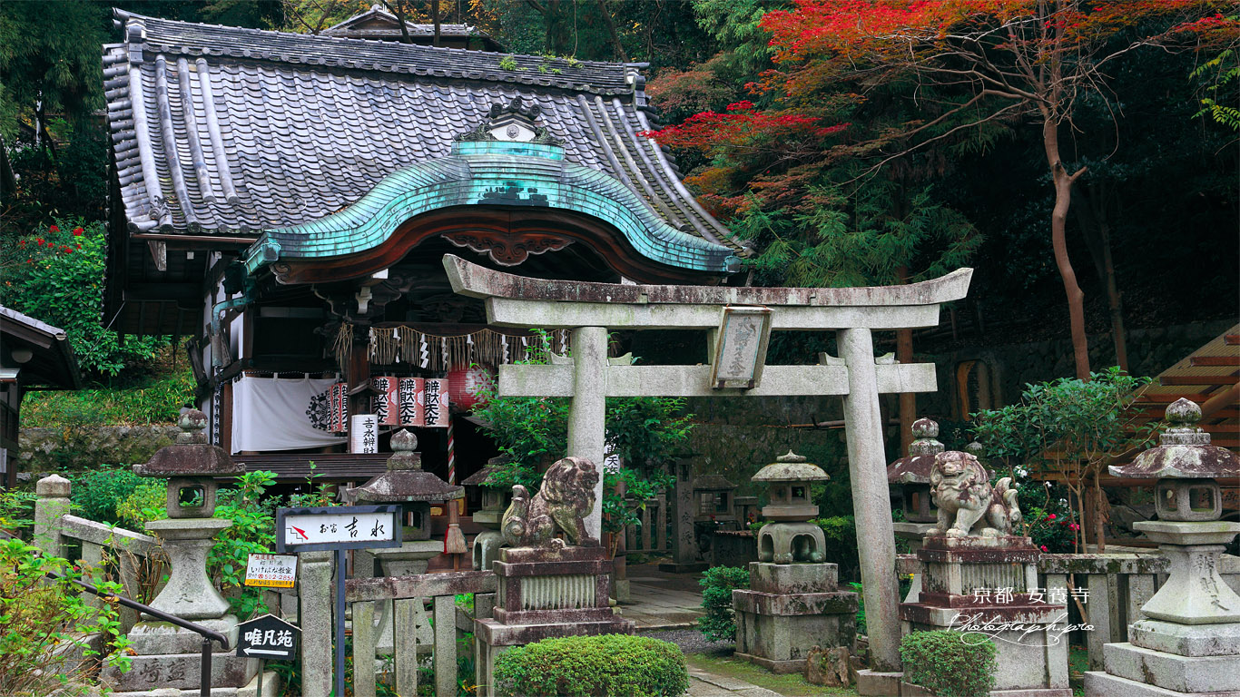 京都 吉水弁財天の紅葉 壁紙