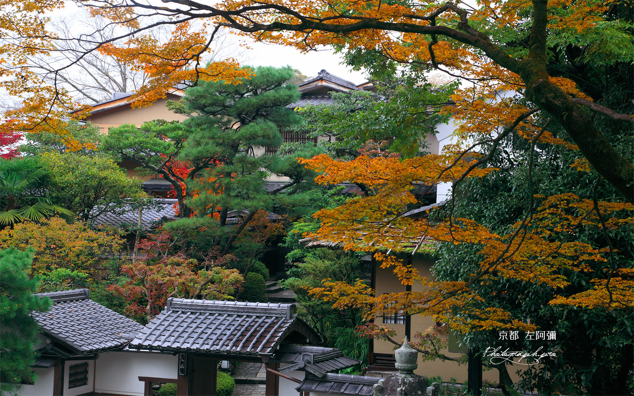 京都 左阿弥の紅葉 壁紙