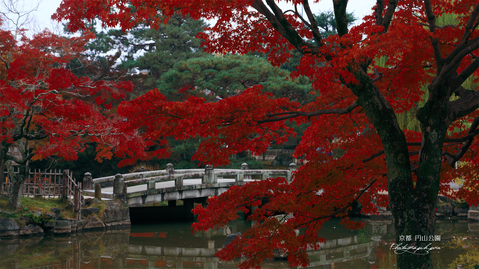 円山公園 紅葉と瓢箪池