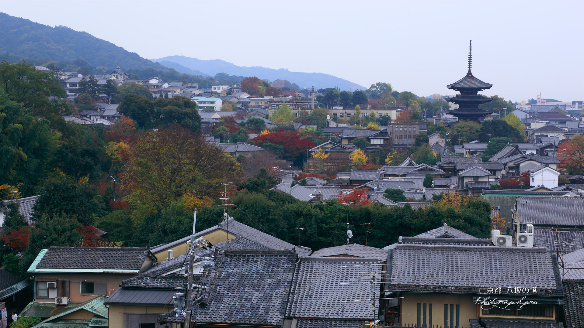 大雲院 祇園閣から八坂の塔