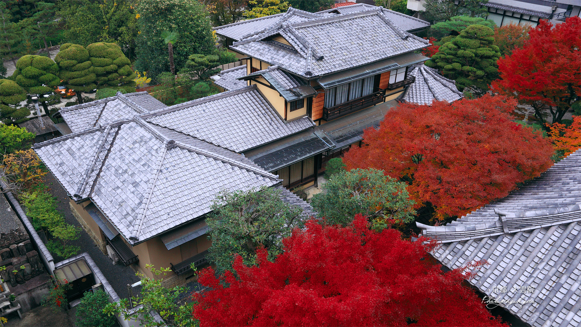 大雲院 祇園閣から紅葉と書院