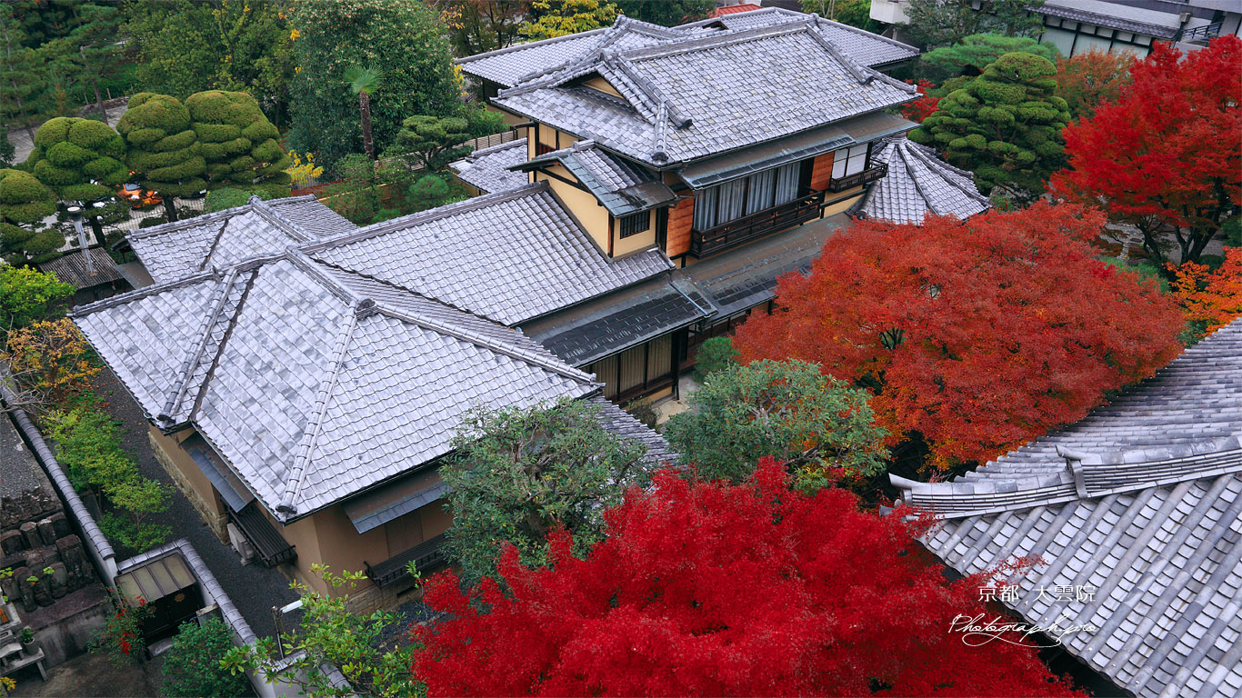 大雲院 祇園閣から紅葉と書院 壁紙