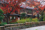 紅葉の祇園白川南通