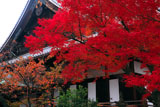 清浄華院
