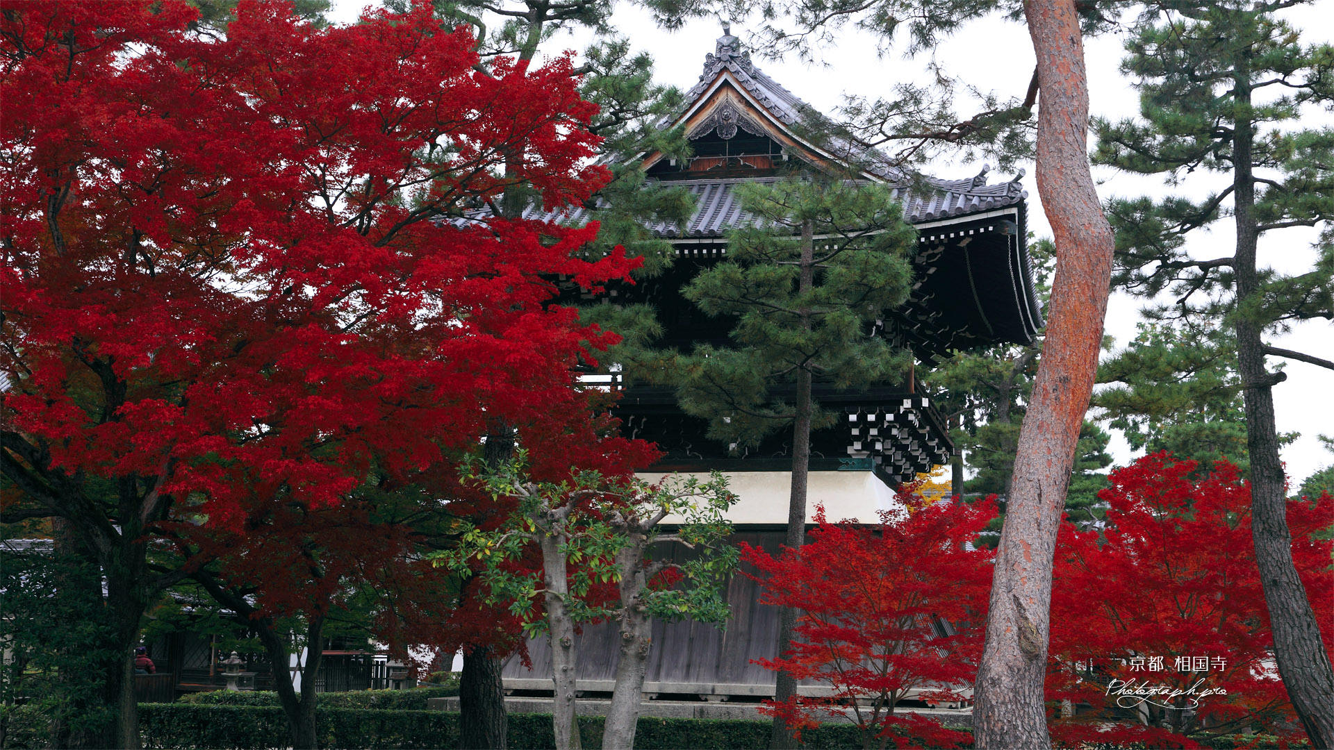 相国寺 紅葉と洪音楼