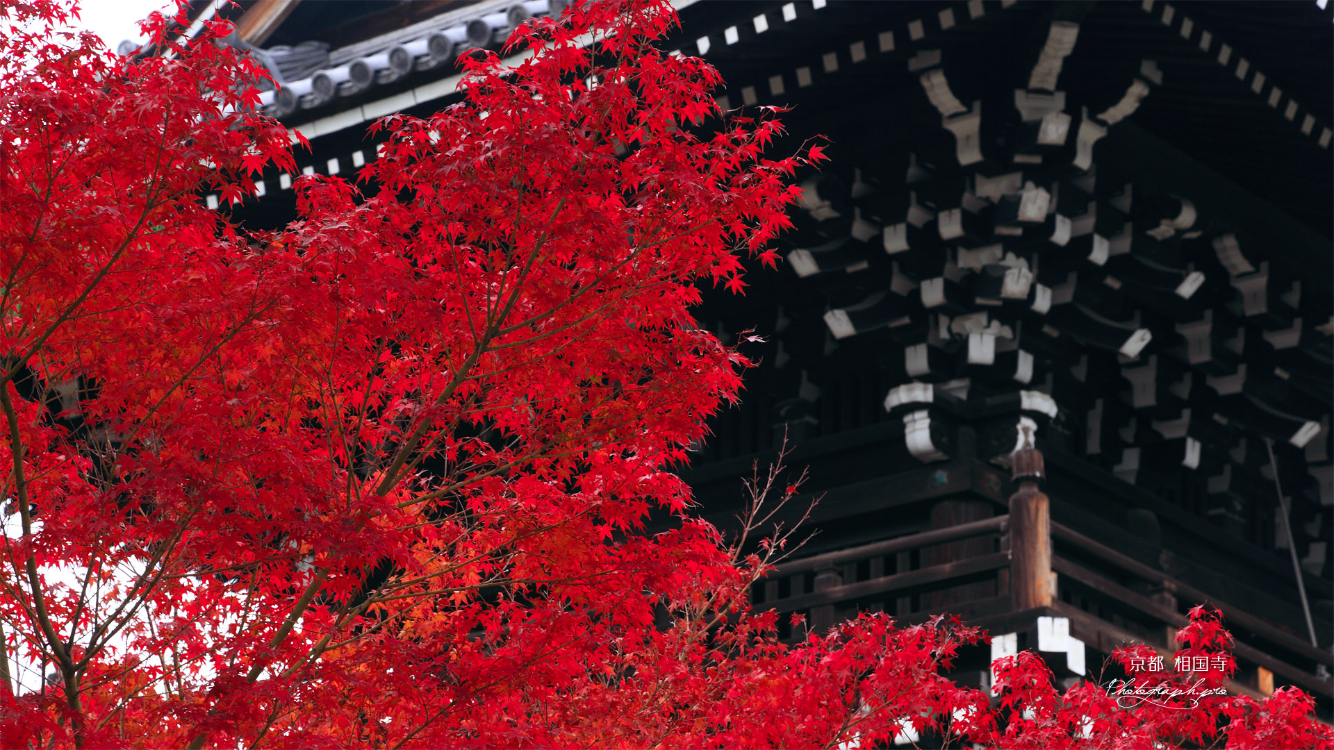 相国寺 紅葉と鐘楼