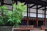 京都御所 漢竹と清涼殿